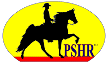 Gaited Horses - Pleasure Saddle Horse Registry - Gaited Horse Breed Registry