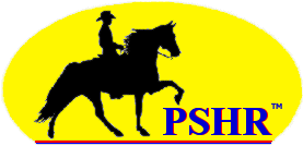 Welcome to the Pleasure Saddle Horse Registry - A Gaited Horse Registry